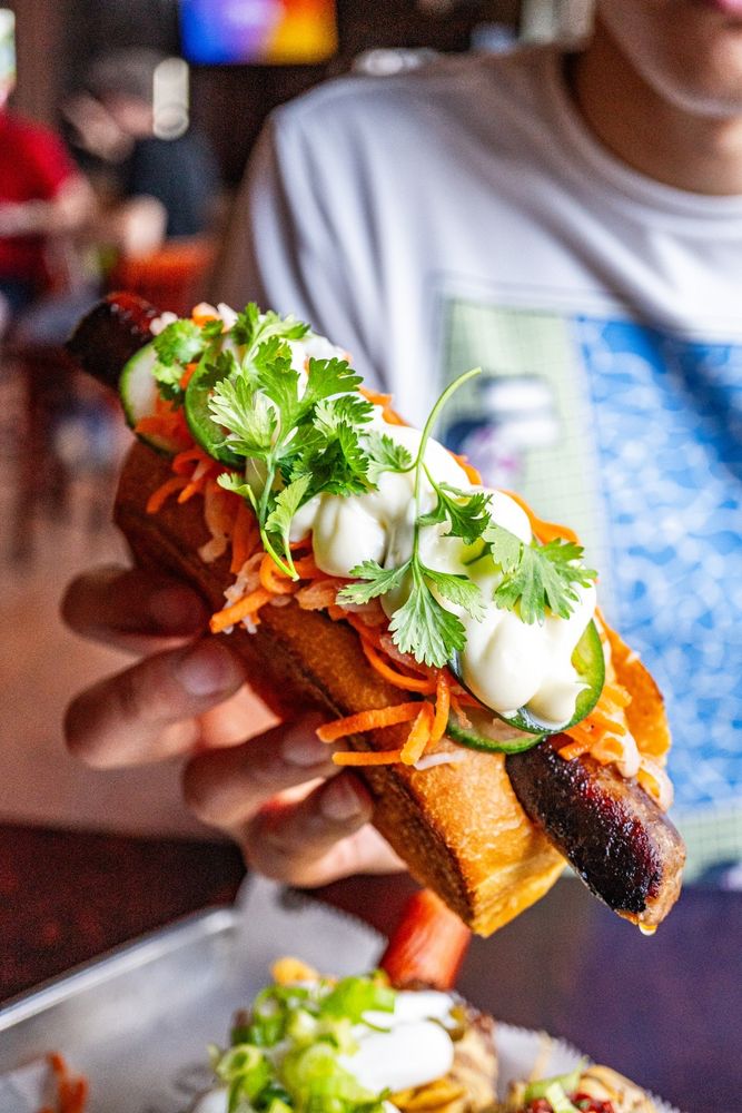 Food from Destination Dogs