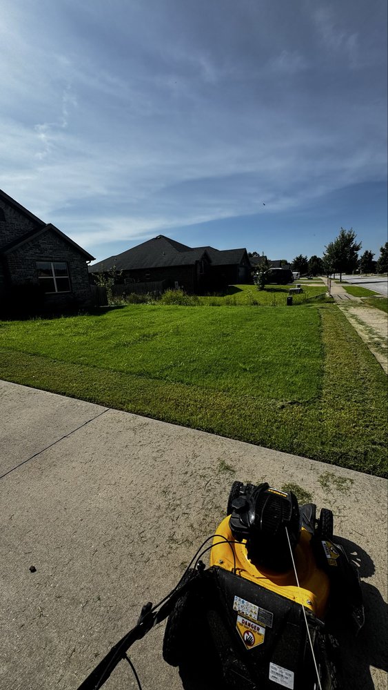 Manny's Outdoor Services - tree service in Rogers, AR