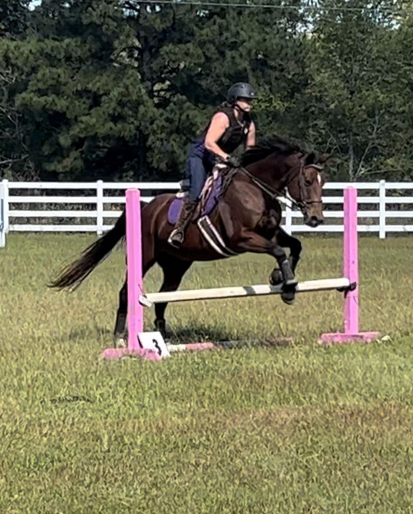 Sawyer Equestrian - equestrian in Hopkins, SC