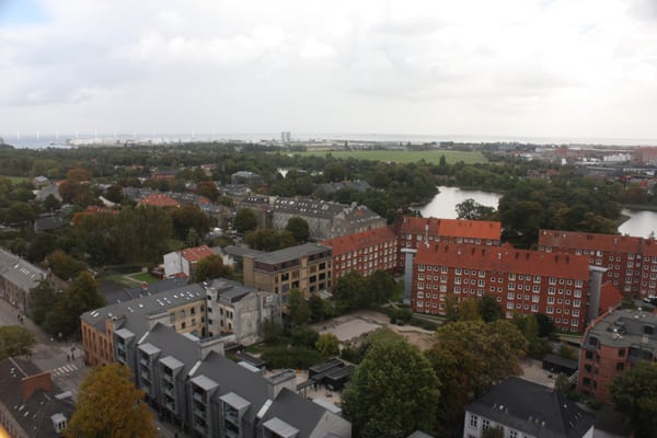 Church of Our Saviour by null