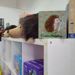 Hedgehog & Book  08-03-2023