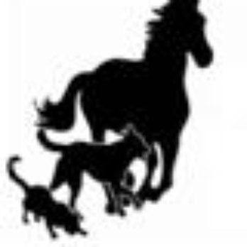 Schairer Matt, DVM - Veterinarians Near Me - Deland, Florida Schairer Matt, DVM - Veterinarians Near Me - Deland, Florida