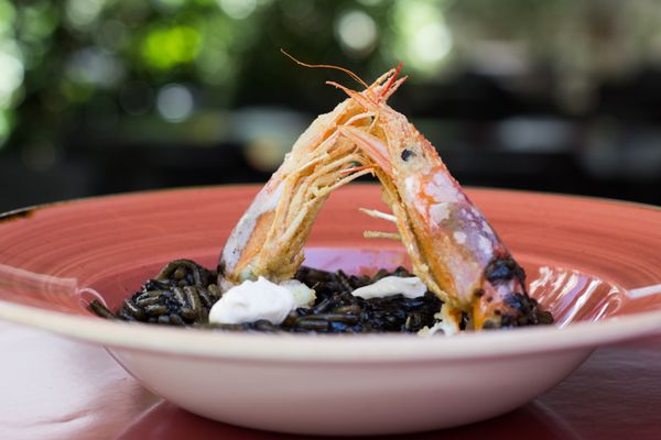 Toro tapas by null