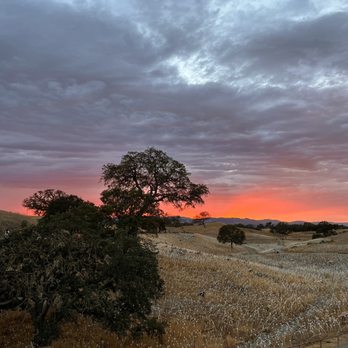 Sensorio - Art Galleries Near Me - Paso Robles, California