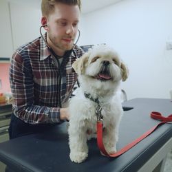 veterinary specialists of the rockies