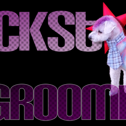 Rockstar Grooming