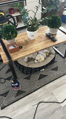 Rug cleaning services - Our rug cleaning service will keep the longevity of your rugs. Call now for your free estimate. Rug cleaning services - Our rug cleaning service will keep the longevity of your rugs. Call now for your free estimate.