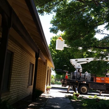 Stay Green Tree Service - Tree Services Near Me - Carson City, Nevada Stay Green Tree Service - Tree Services Near Me - Carson City, Nevada