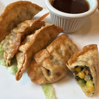 Cozy Thai Restaurant - Pot stickers - Thai Near Me - Hamburg, New York