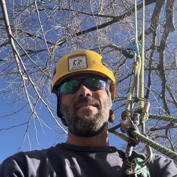 Hartman Tree Care - Tree Services Near Me - Arvada, Colorado Hartman Tree Care - Tree Services Near Me - Arvada, Colorado