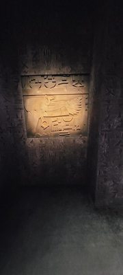 National Geographic Museum of Exploration by null