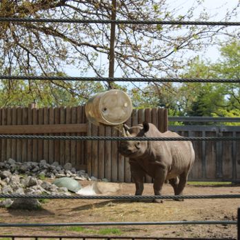 Lincoln Park Zoo - Zoos Near Me - Chicago, Illinois Lincoln Park Zoo - Zoos Near Me - Chicago, Illinois