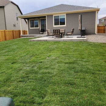 Just Sod - High quality sod - Landscaping Near Me