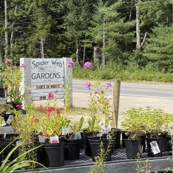 Spider Web Gardens - Roadside Sign - Nurseries & Gardening Near Me - Center Tuftonboro, New Hampshire Spider Web Gardens - Roadside Sign - Nurseries & Gardening Near Me - Center Tuftonboro, New Hampshire