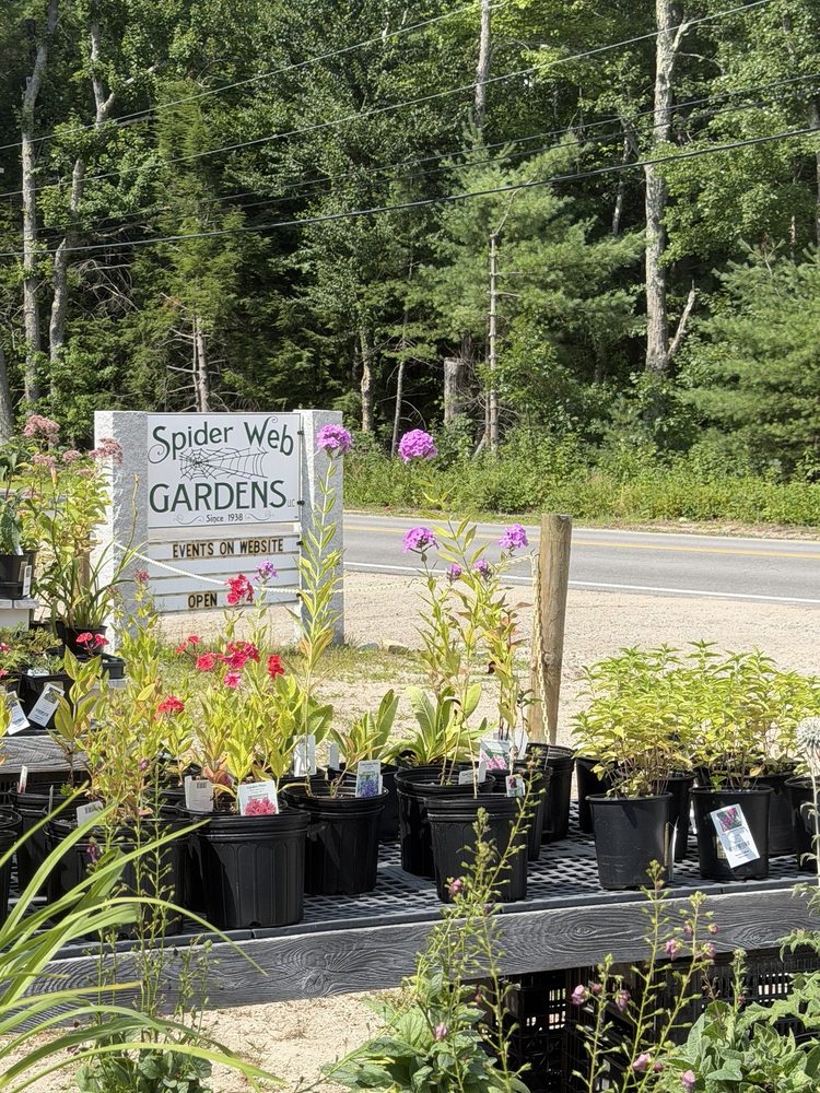 Spider Web Gardens Logo