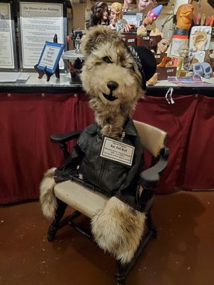 Portland Puppet Museum by null