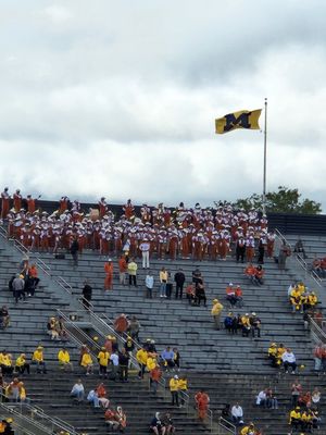 Michigan Stadium by null