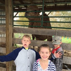 Kinman Farms - Camel