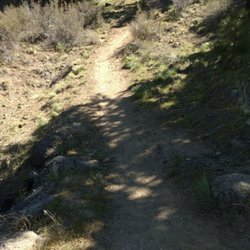 Archie Briggs Canyon Trail