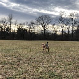 Time for fetch!