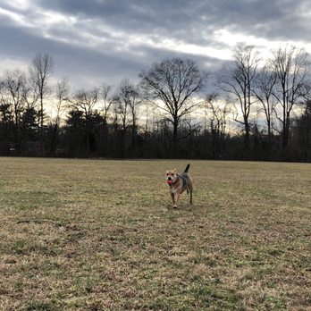 Freedom Barks Dog Park - Time for fetch! - Dog Parks Near Me - Medford, New Jersey