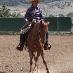 Cow horses need dressage gymnastics too!