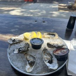 Oysters Oysters
