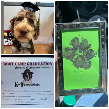 K9 Companions - Marlins graduation day! - Pet Training Near Me - Perris, California K9 Companions - Marlins graduation day! - Pet Training Near Me - Perris, California