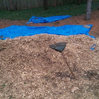 Community Tree Service - Stump All Gone - Tree Services Near Me - Chelmsford, Massachusetts