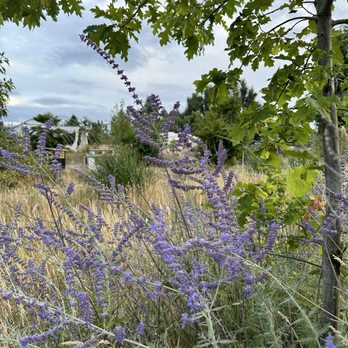 Wet Rock Gardens - Florists Near Me - Springfield, Oregon Wet Rock Gardens - Florists Near Me - Springfield, Oregon