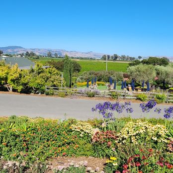Bouchaine Vineyards - Wine Tasting Room Near Me - Napa, California Bouchaine Vineyards - Wine Tasting Room Near Me - Napa, California
