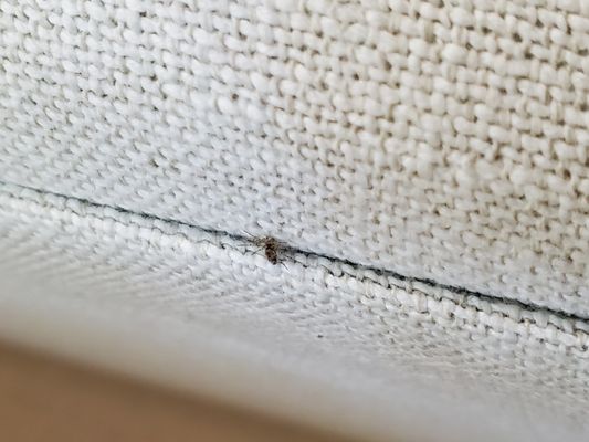 Crate & Barrel by null