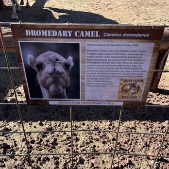 Grand Canyon Deer Farm - Zoos Near Me - Williams, Arizona Grand Canyon Deer Farm - Zoos Near Me - Williams, Arizona