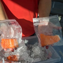Fresh Catch Fish - The seafood here is SO fresh and the selection is amazing. You can get fish here that you won't find anywhere else in southwest Florida.