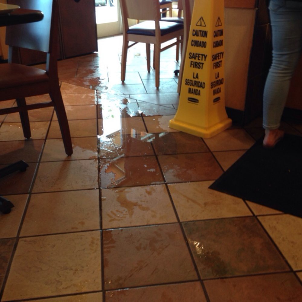 Panera Bread - This place is a mess and staff and service is terrible - Sandwiches Near Me - Raleigh, North Carolina Panera Bread - This place is a mess and staff and service is terrible - Sandwiches Near Me - Raleigh, North Carolina