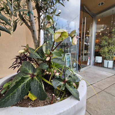 Bridgeport Village by null