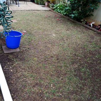 Estrada Landscape Services - Before - Landscaping Near Me