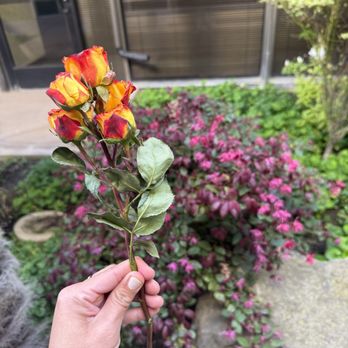 Silk Skin Sugaring - Cute flowers - Sugaring Near Me - San Jose, California