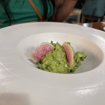 The Reef 28 - Guacamole - Hotels Near Me - Playa del Carmen, ROO The Reef 28 - Guacamole - Hotels Near Me - Playa del Carmen, ROO