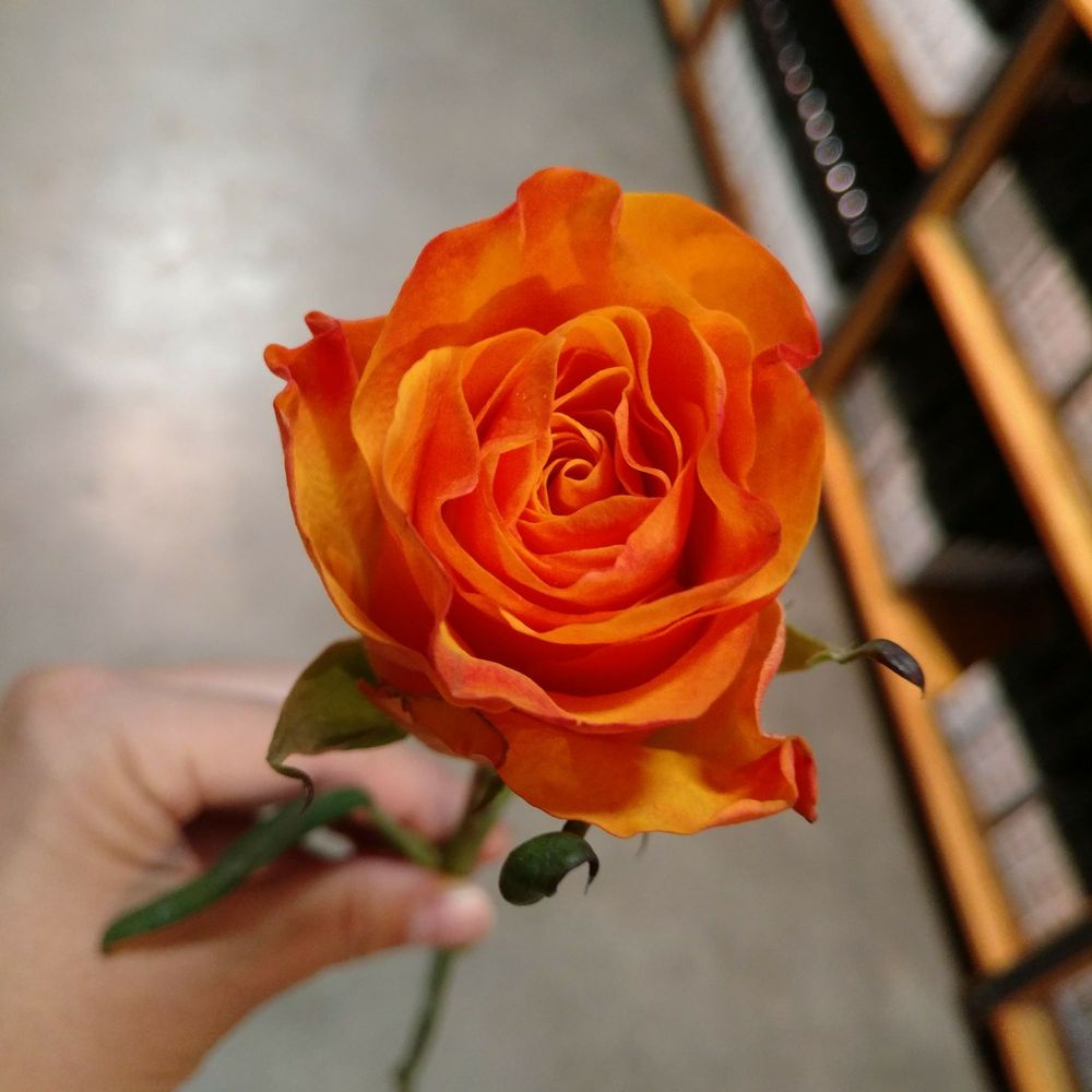 QUEEN CREEK OLIVE MILL 777 Photos & 848 Reviews Specialty Food