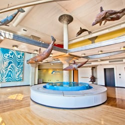 Capitol Equities - Smith Brother - Interior