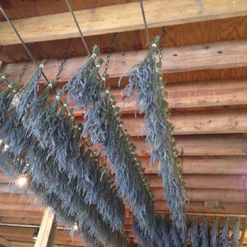 Willowfield Lavender Farm - Farms Near Me - Mooresville, Indiana