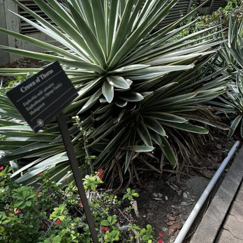 Foellinger-Freimann Botanical Conservatory - Botanical Gardens Near Me - Fort Wayne, Indiana
