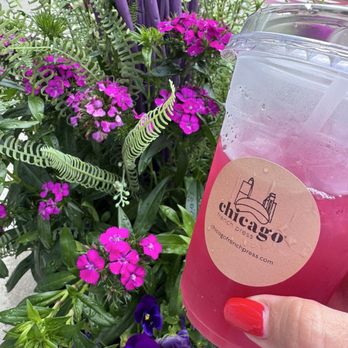 Chicago French Press - Berry jas lemonade - Coffee Roasteries Near Me - Chicago, Illinois