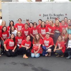 Last Hope K9 Rescue - LHK9 volunteer service trip, 2017