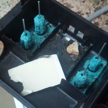 Troy's Pest Control - Rodent extermination - Pest Control Near Me - Las Vegas, Nevada Troy's Pest Control - Rodent extermination - Pest Control Near Me - Las Vegas, Nevada