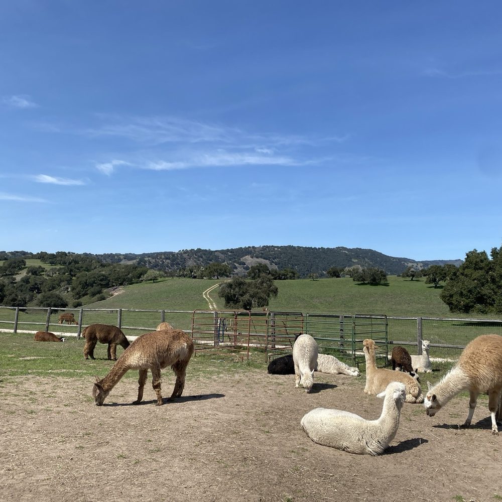 Zaca Creek Ranch - Ranches Near Me Zaca Creek Ranch - Ranches Near Me