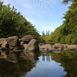 Aloha Maui Tours