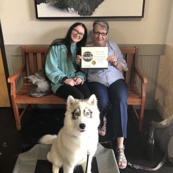 Taming the Wild - Pet Training Near Me - Memphis, Tennessee Taming the Wild - Pet Training Near Me - Memphis, Tennessee