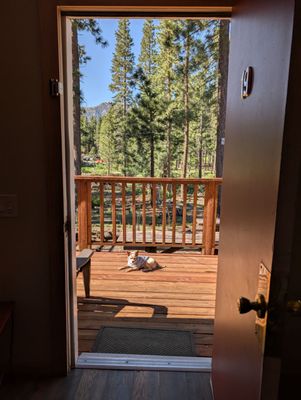 Cinnamon Bear Inn by null